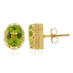 Orecchini in argento con Peridoto