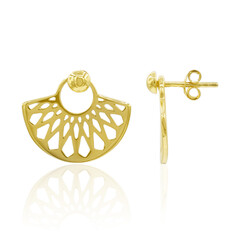 Orecchini in argento