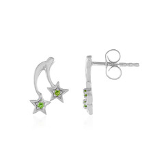 Orecchini in argento con Diopside Russo