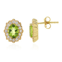 Orecchini in argento con Peridoto