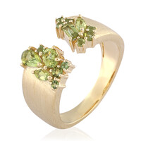 Anello in oro con Tormalina Verde Brasiliana (de Melo)