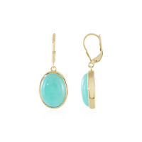 Orecchini in argento con Amazzonite