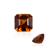 Gemma con Zircone Cognac