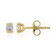 Orecchini in argento con Zircone (Adela Silber)