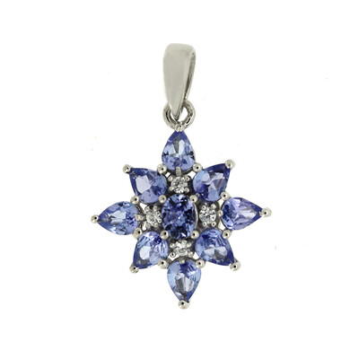 Ciondolo in argento con Tanzanite