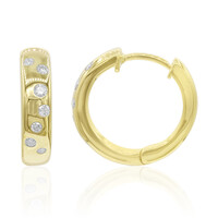 Orecchini in oro con Diamante SI2 (G)