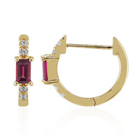 Orecchini in argento con Rodolite