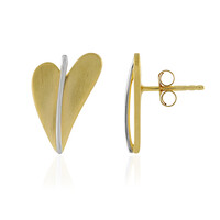 Orecchini in argento