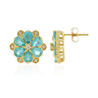Orecchini in argento con Apatite Blu