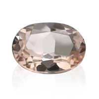 Gemma con Morganite 0,75 ct