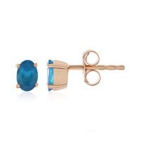 Orecchini in argento con Apatite Blu Neon