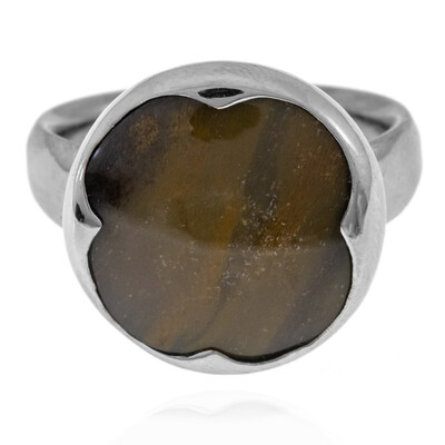 Anello in argento con Legno Fossile