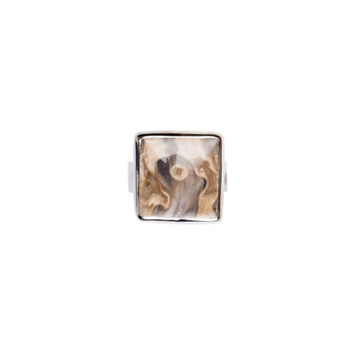 Anello in argento con Legno di Palma Pietrificato
