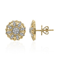 Orecchini in oro con Diamante SI1 (G)