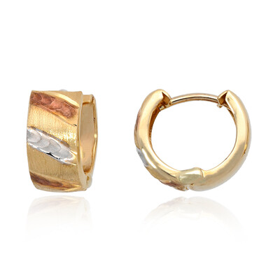Orecchini in oro