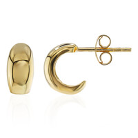 Orecchini in argento