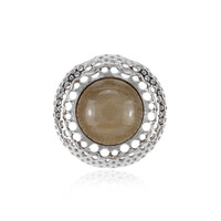 Ciondolo in argento con Legno Fossile