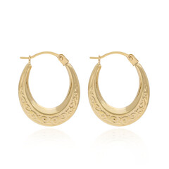 Orecchini in oro