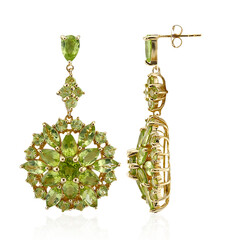 Orecchini in argento con Peridoto della Birmania