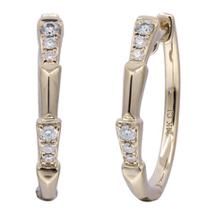 Orecchini in oro con Diamante I1 (H) (CIRARI)