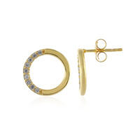 Orecchini in argento con Zircone