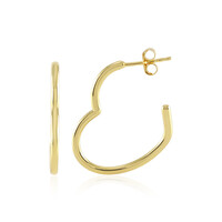 Orecchini in argento