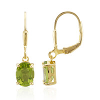 Orecchini in argento con Peridoto della Birmania