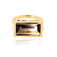 Anello in argento con Quarzo Bicolore