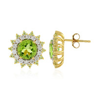 Orecchini in argento con Peridoto