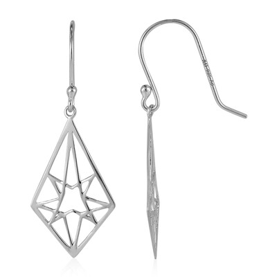 Orecchini in argento