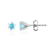 Orecchini in argento con Apatite Blu