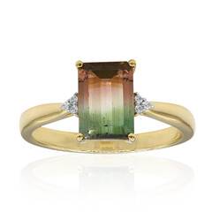 Anello in oro con Tormalina Bicolore