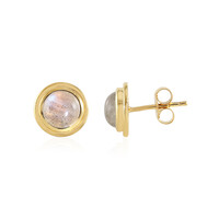 Orecchini in argento con Labradorite