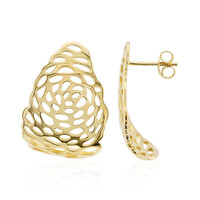 Orecchini in argento