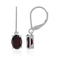 Orecchini in argento con Granato
