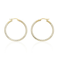 Orecchini in argento