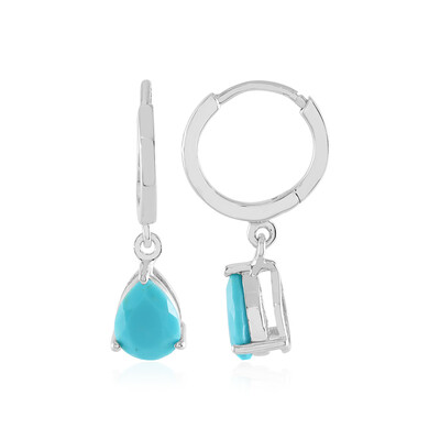 Orecchini in argento con Turchese