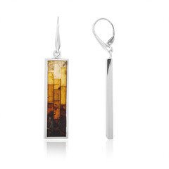 Orecchini in argento con Ambra Baltica