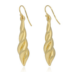 Orecchini in argento