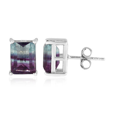 Orecchini in argento con Fluorite Bicolore