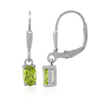 Orecchini in argento con Peridoto della Birmania