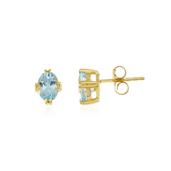 Orecchini in argento con Topazio Blu Cielo