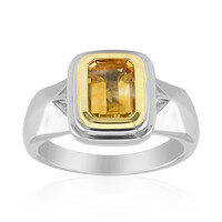 Anello in argento con Citrino (Remy Rotenier)