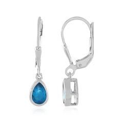 Orecchini in argento con Apatite Blu Neon