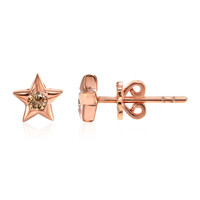 Orecchini in oro con Diamante Rose de France SI1 di Argyle