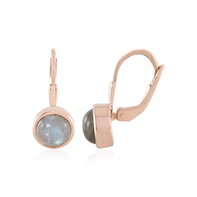 Orecchini in argento con Labradorite