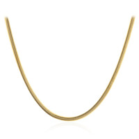 Collana in argento