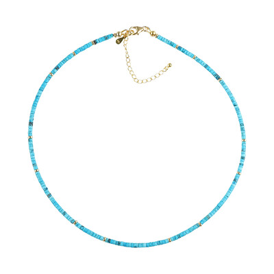 Collana in argento con Turchese