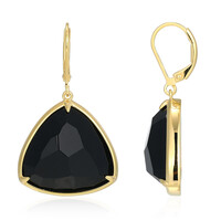 Orecchini in argento con Agata Nera