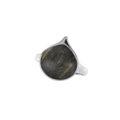 Anello in argento con Quercia Nera (dagen)